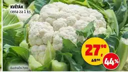 Penny Market Květák nabídka