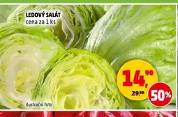 Penny Market Ledový salát nabídka