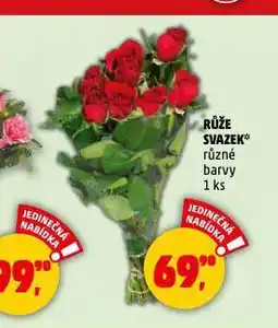 Penny Market Růže svazek nabídka