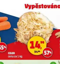 Penny Market Celer nabídka