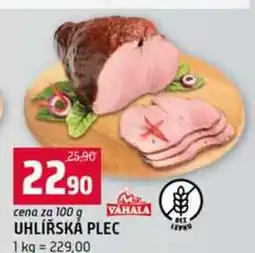 Terno UHLÍŘSKÁ PLEC 1 kg nabídka