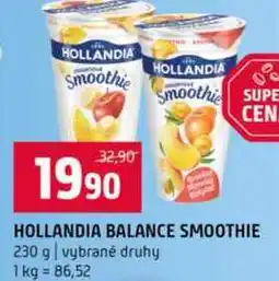 Terno HOLLANDIA BALANCE SMOOTHIE 230 g nabídka