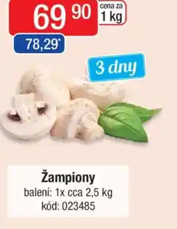 Qanto Žampiony nabídka