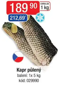 Qanto Kapr půlený nabídka