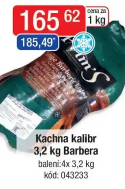 Qanto Kachna kalibr Barbera nabídka