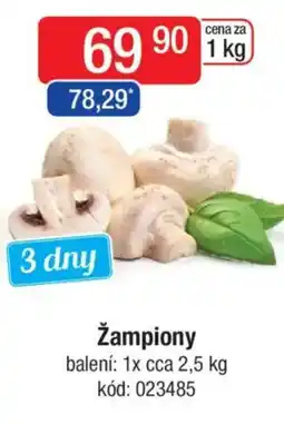 Qanto Žampiony nabídka