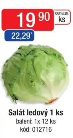 Qanto Salát ledový nabídka