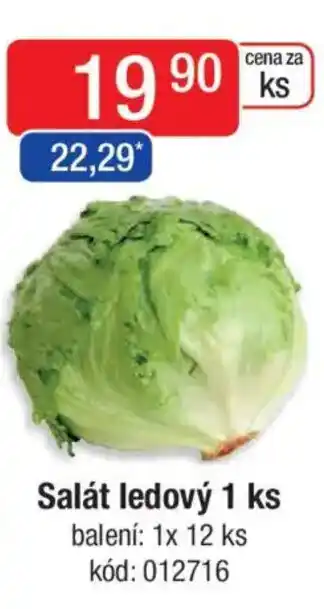 Qanto Salát ledový nabídka