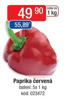Qanto Paprika červená nabídka