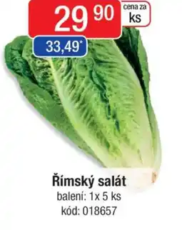 Qanto Římský salát nabídka