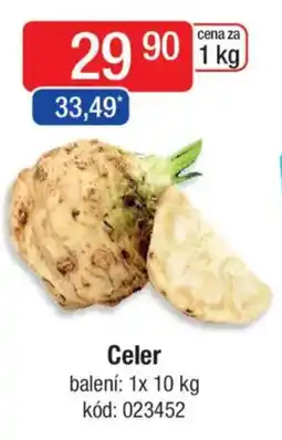 Qanto Celer nabídka