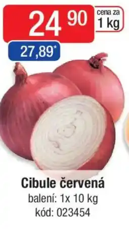 Qanto Cibule červená nabídka