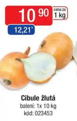 Qanto Cibule žlutá nabídka