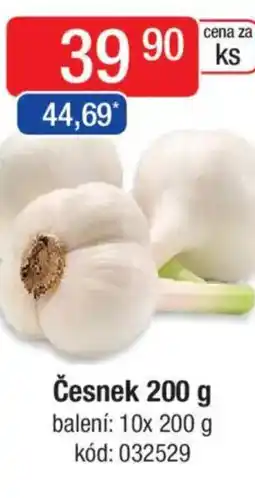 Qanto Česnek nabídka