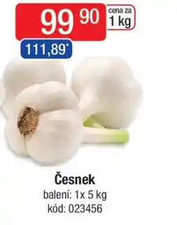 Qanto Česnek nabídka