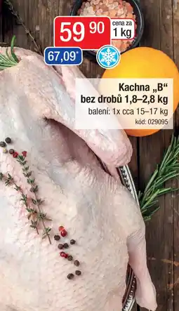 Qanto Kachna,,B" bez drobů nabídka