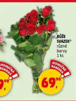 Penny Market RŮŽE SVAZEK, 1 ks nabídka