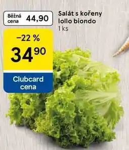 Tesco Salát s kořeny lollo biondo, 1 ks nabídka