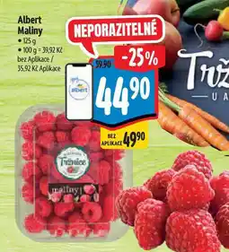 Albert Albert Maliny 125 g nabídka