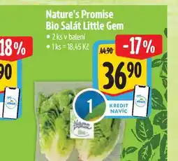 Albert Nature's Promise Bio Salát Little Gem 2 ks nabídka