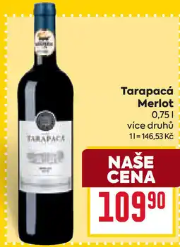 Billa Tarapacá Merlot nabídka