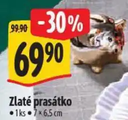 Albert Zlaté prasátko nabídka