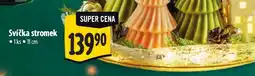 Albert Svíčka stromek nabídka