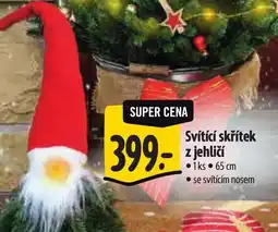 Albert Svítící skřítek - z jehličí nabídka