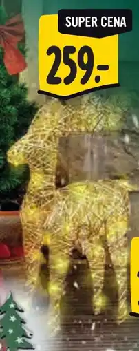 Albert Svítící sob nabídka