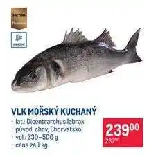 Makro Vlk mořský kuchaný nabídka