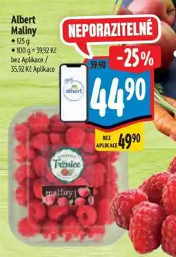 Albert Albert Maliny nabídka