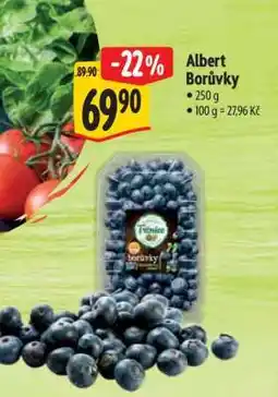 Albert Albert Borůvky nabídka