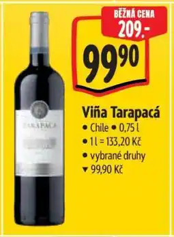 Albert Viña Tarapacá nabídka