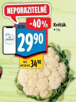 Albert Květák nabídka