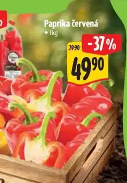 Albert Paprika červená nabídka