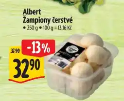 Albert Albert Žampiony čerstvé nabídka