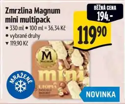 Albert Zmrzlina Magnum mini multipack nabídka