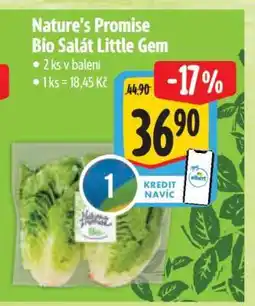 Albert Nature‘s Promise Bio Salát little gem nabídka