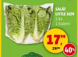 Penny Market Salát Little Gem nabídka