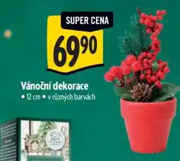 Albert Vánoční dekorace nabídka