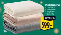 Albert Deka Himalayan nabídka