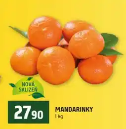 Terno Mandarinky nabídka