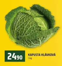 Terno Kapusta hlávková nabídka