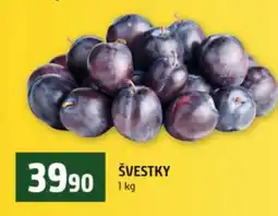 Terno Švestky nabídka