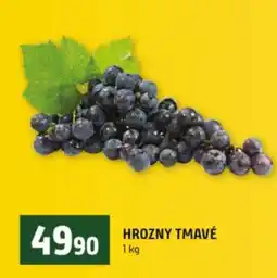 Terno Hrozny tmavé nabídka