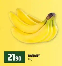 Terno Banány nabídka