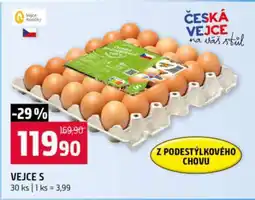 Terno Vejce S nabídka