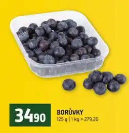 Terno Borůvky nabídka