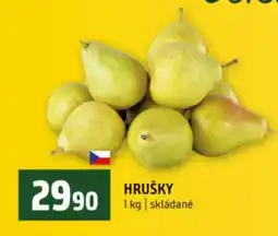 Terno HRUŠKY nabídka