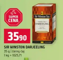 Terno SIR WINSTON DARJEELING nabídka